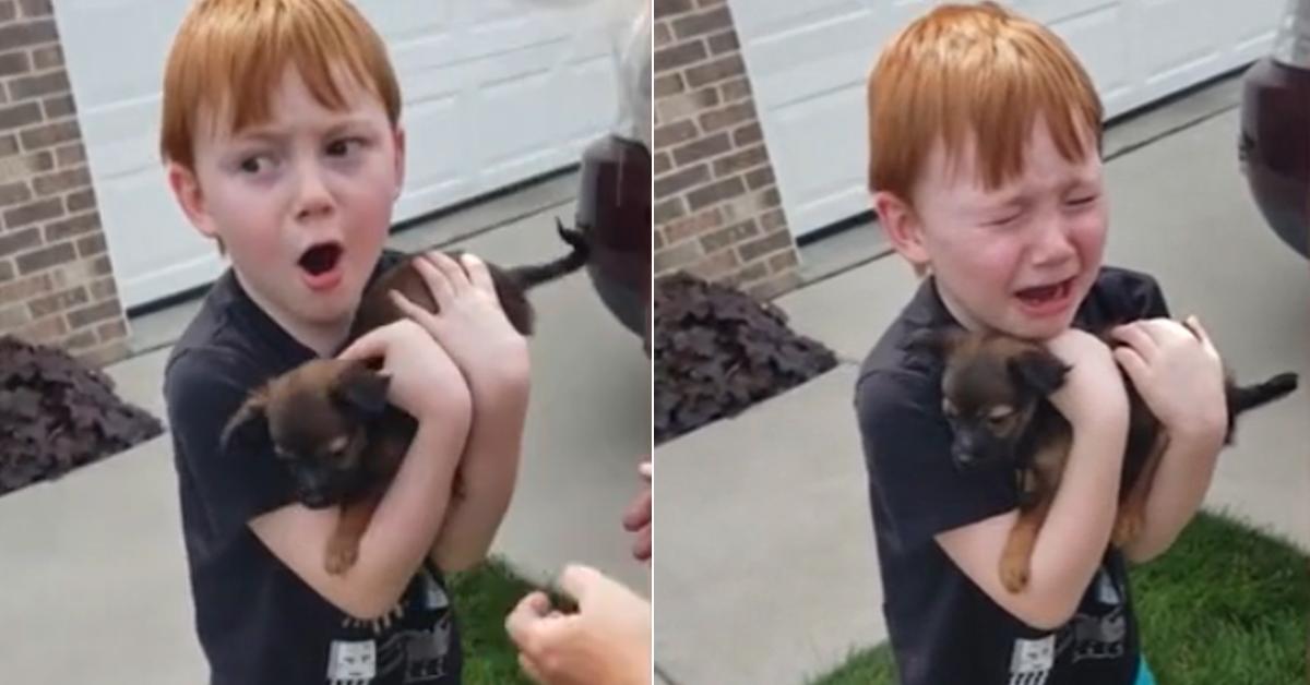 Grandma Adopts A Puppy For Her Grandson Who Was Saving Up To Buy One