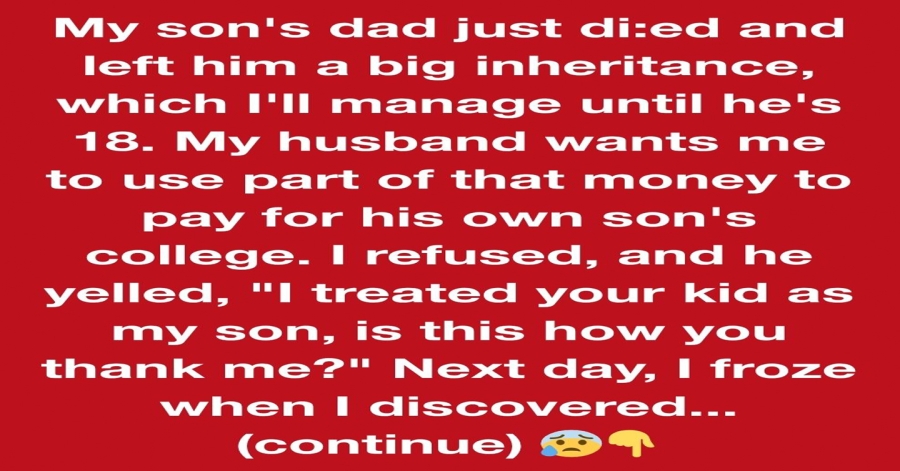 I Refused to Share My Son’s Inheritance With My Stepson