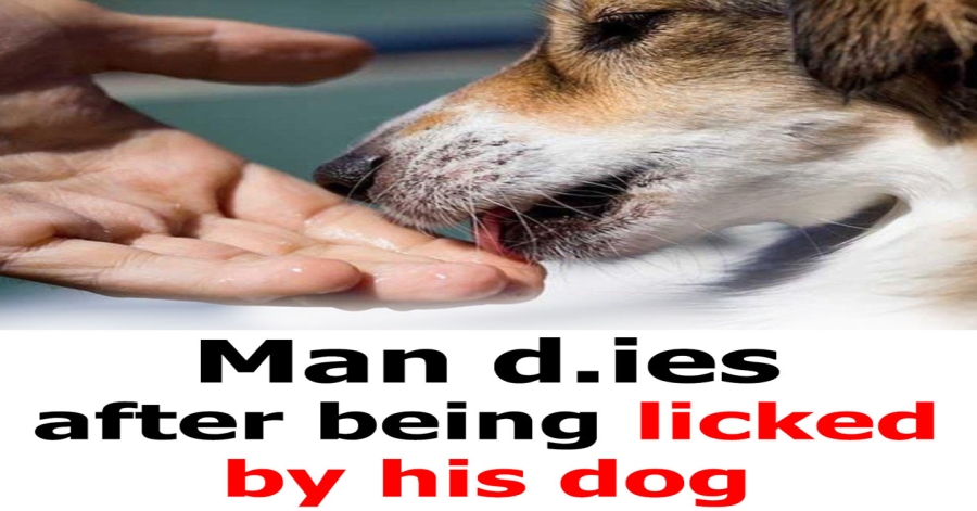 Man d.ies after being licked by his dog