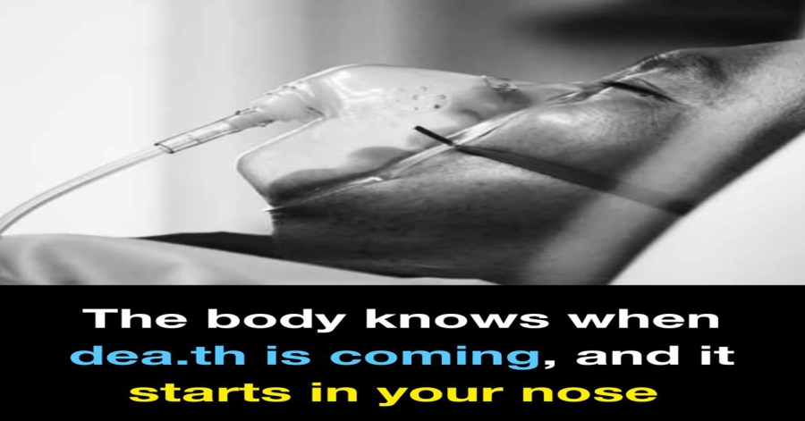 When Loss of Smell Becomes a Red Flag