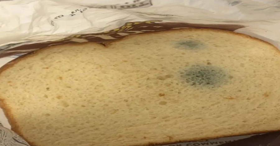 Stale Bread: When It’s Safe to Eat and When to Toss It