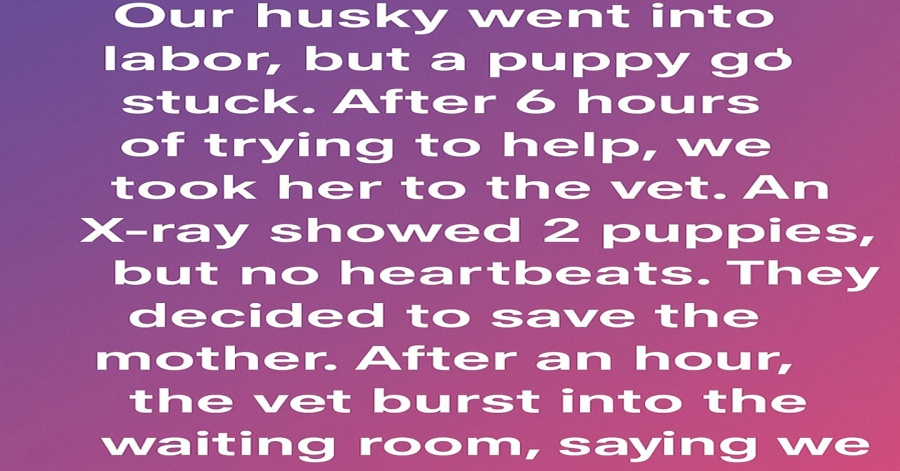 A Miracle Named Hope: How Our Husky and Her Puppy Beat the Odds