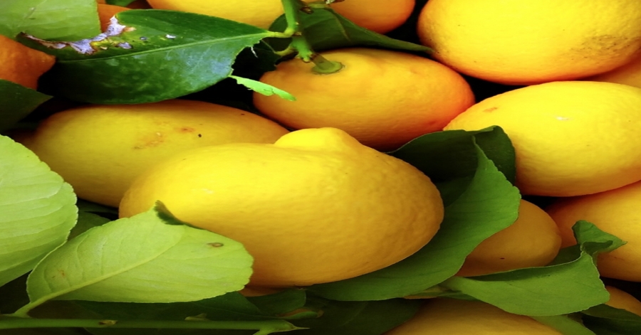 These are the effects of lemon consumption on blood glucose