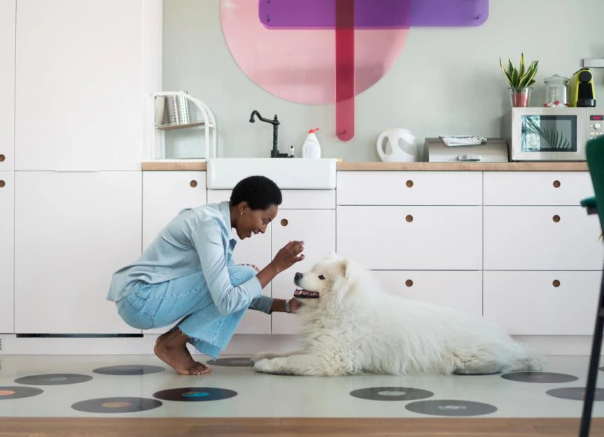 Dog Supplements: Do They *Really* Work? A Vet's Honest Take