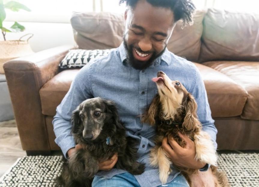 My Dog's Breath Stinks! Causes, Home-Care, and When to Panic