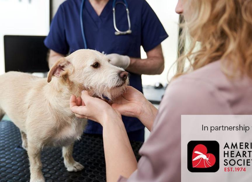 Dog Heartworm Treatment: Costs, Cures & Critical Care
