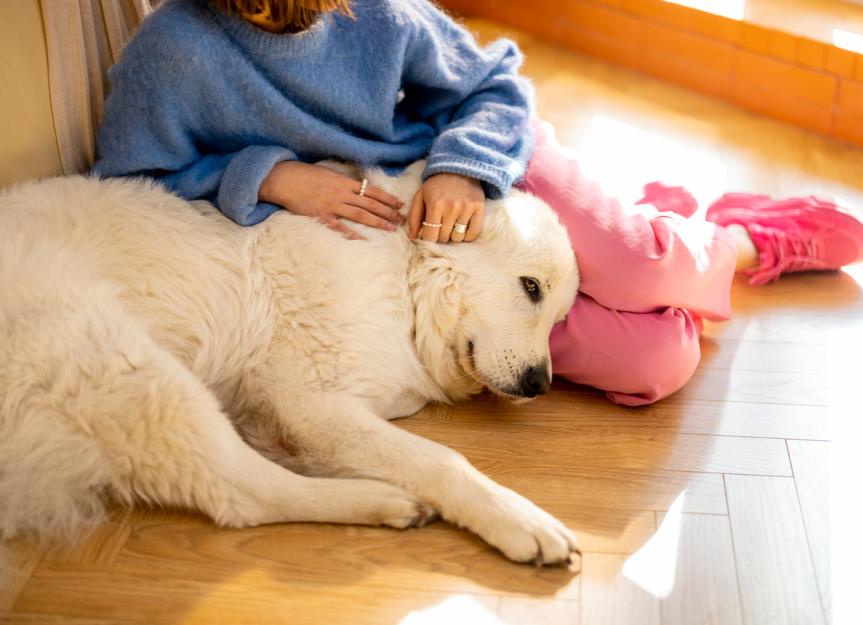 Tylosin Tartrate for Dogs: Uses, Dosage & Gut Health Secrets