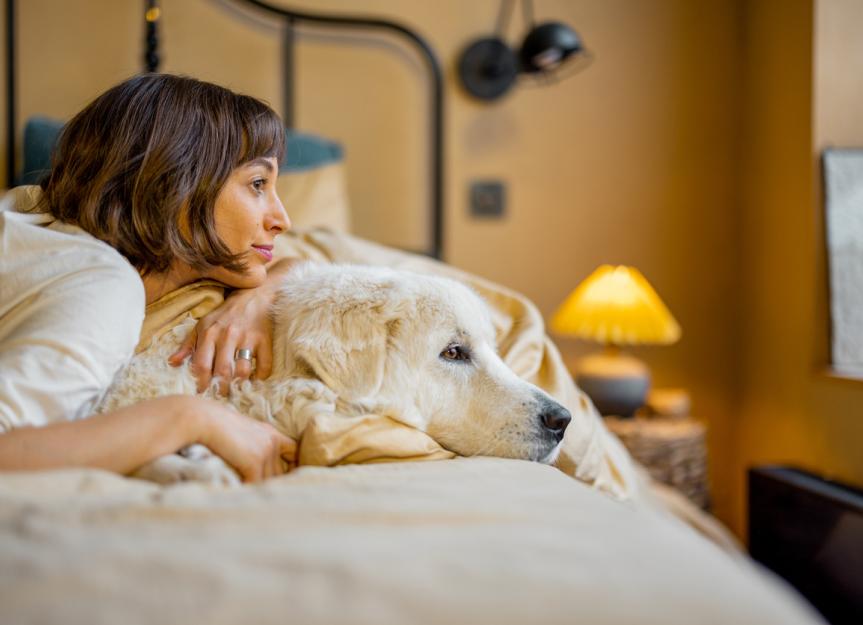 Theophylline for Pets: A Vet's Masterclass on Safe Use & Monitoring