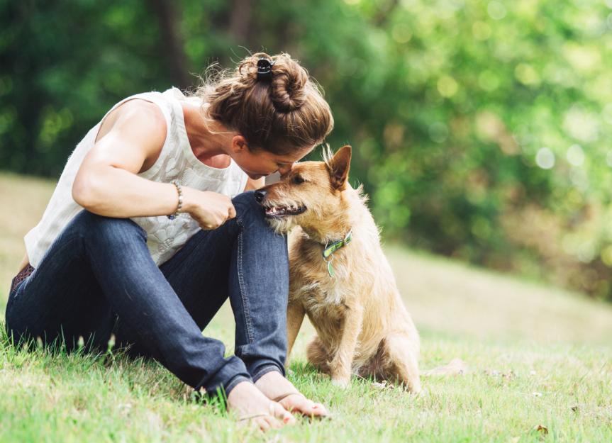 Vetsulin® for Pets: A Practical Guide to Insulin Therapy for Diabetic Dogs & Cats