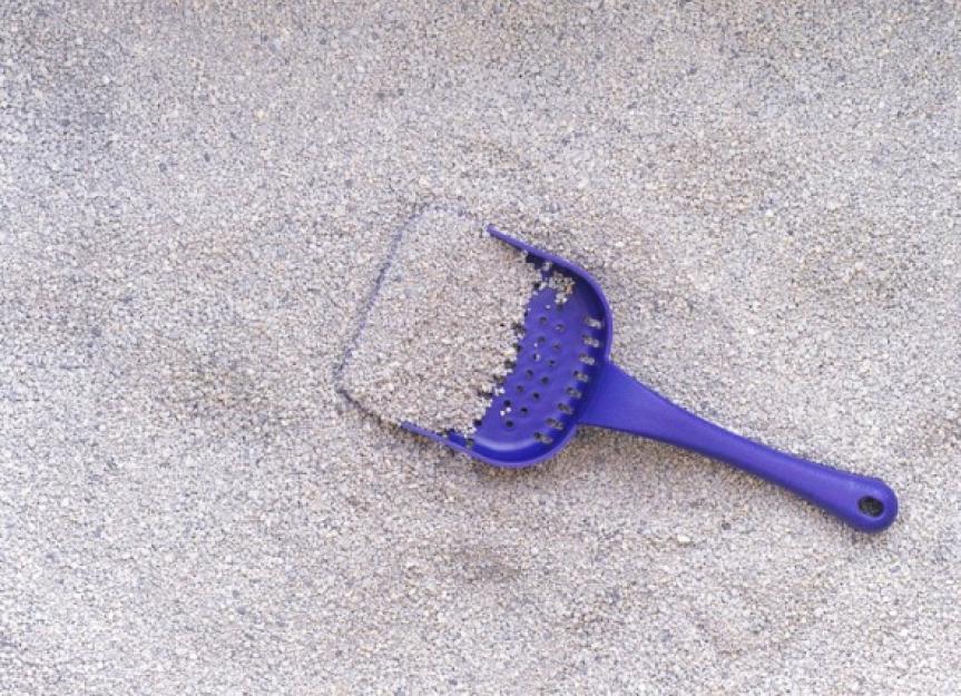 Are Automatic Litter Boxes Really Worth It? A Vet's Honest Take