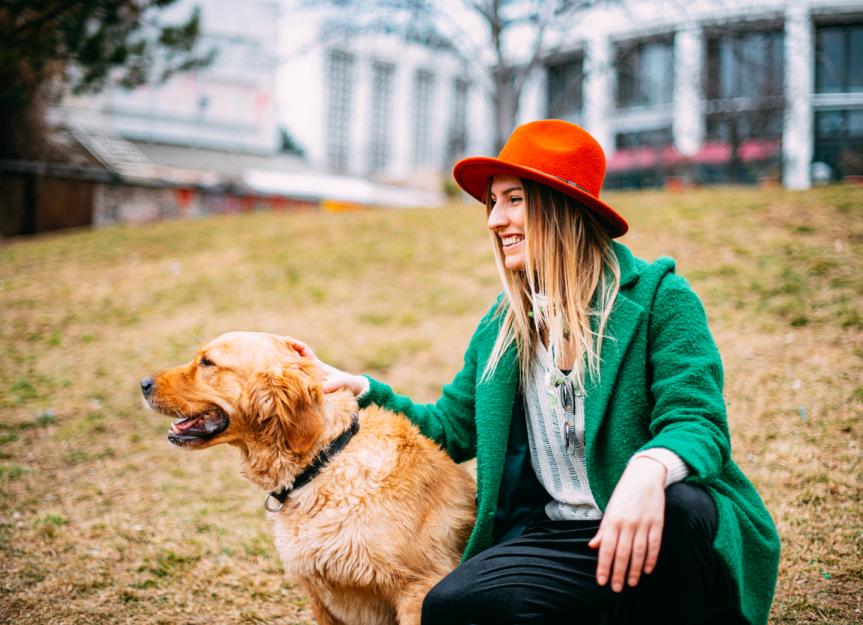 Vetoryl® (Trilostane): The Expert's Guide to Treating Cushing's in Dogs