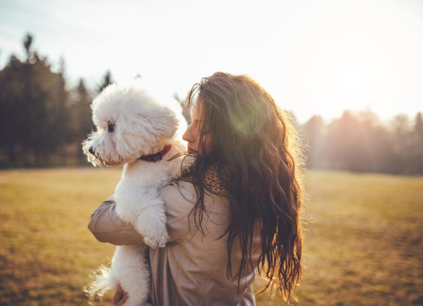 Is Zonisamide the Right Anti-Seizure Med for My Dog? A Vet's Deep Dive