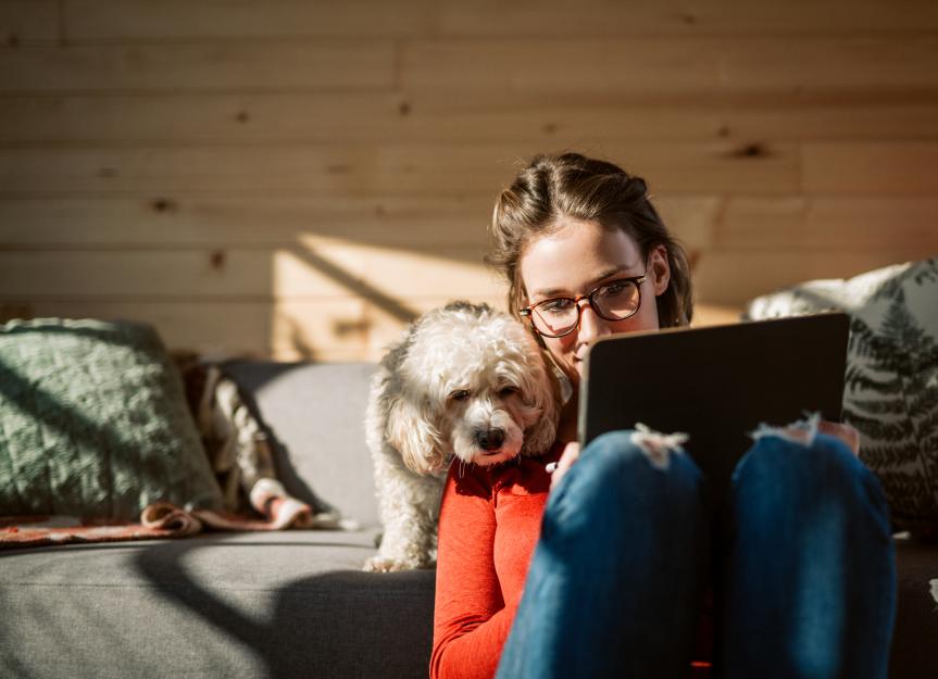 Ronidazole: Is This the Right Treatment for Your Pet's Stubborn Diarrhea?