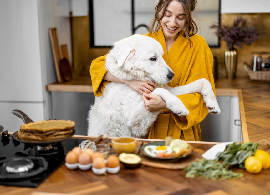 My Dog Ate My Xanax! Benzodiazepine Toxicity: A Vet's Guide