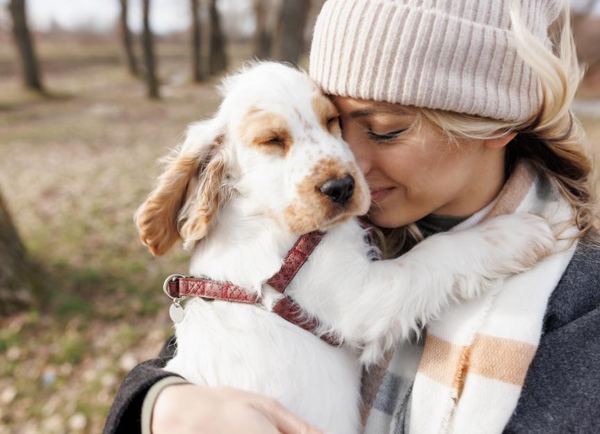 My New Puppy is Anxious: Expert Vet Advice for a Calm Transition