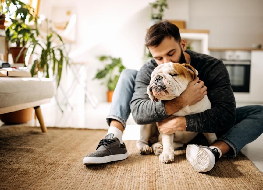 Cephalexin (Rilexine®) for Dogs: Uses, Dosage, and Crucial Warnings