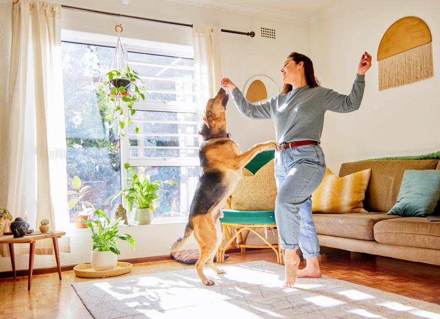 Simparica® and Simparica Trio®: The Worried Dog Owner's Guide