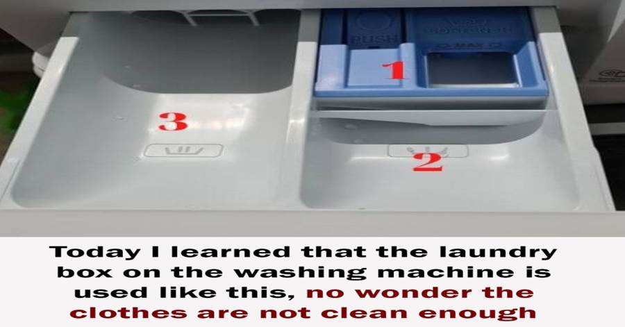 Today I Learned How to Properly Use the Detergent Drawer in a Washing Machine