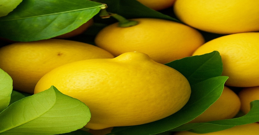 Doctors reveal that consuming lemon can cause…
