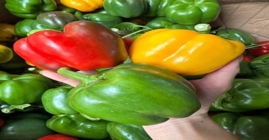 Doctors Reveal That Eating Bell Peppers Frequently Causes..