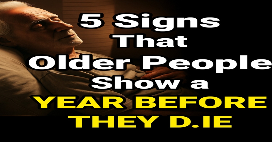 5 Signs That Show an Older Person Needs More Care and Attention