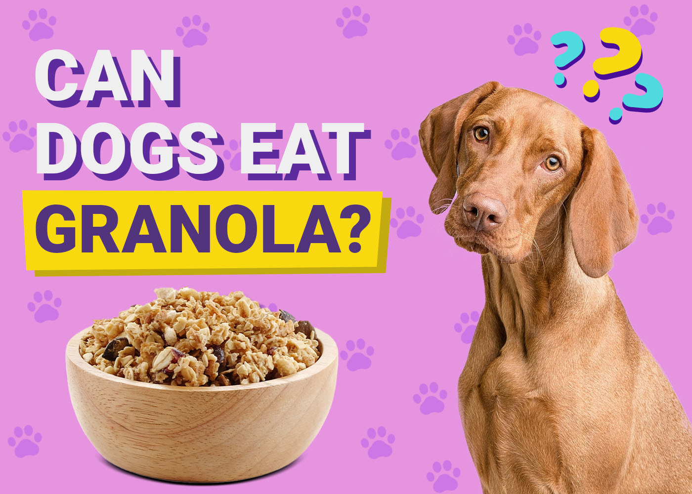 Granola for Dogs: Is It Safe? A Vet's Unvarnished Truth