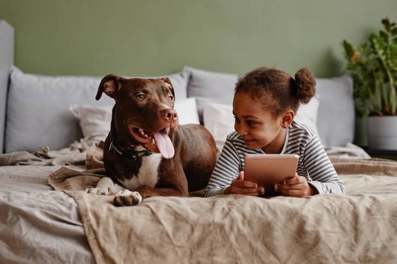 Pitbulls and Kids: Understanding Temperament, Safety, and Early Socialization