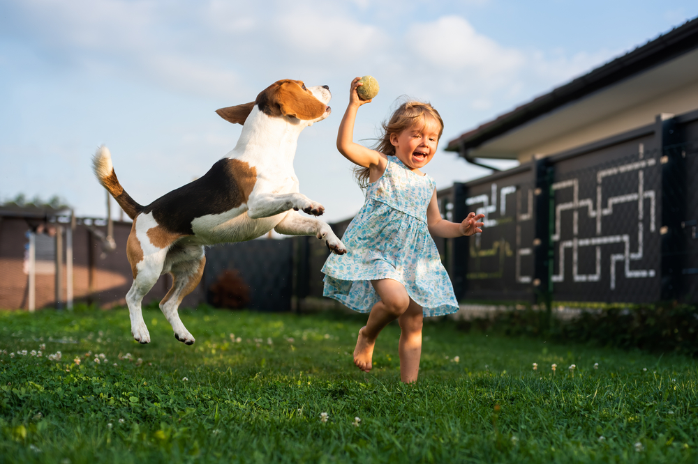 Dog Aggression Towards Children: Decoding the Danger & Ensuring Safety