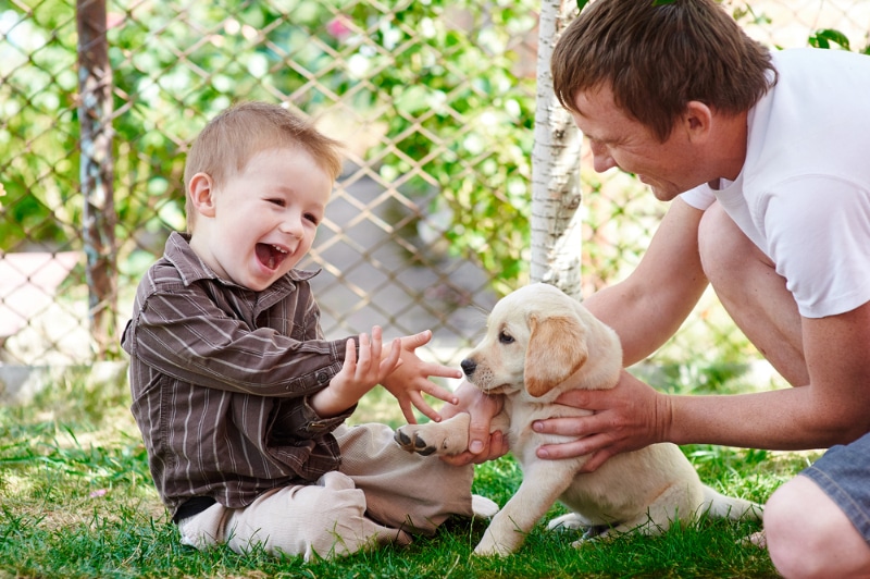 Puppy vs. Toddler: A Vet's Sanity-Saving Guide to Harmony (and Avoiding ER Visits)