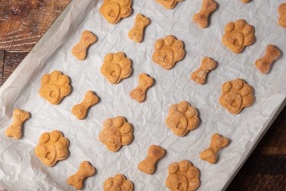 Baking Bonanza: How to Launch a Profitable Homemade Dog Treat Business