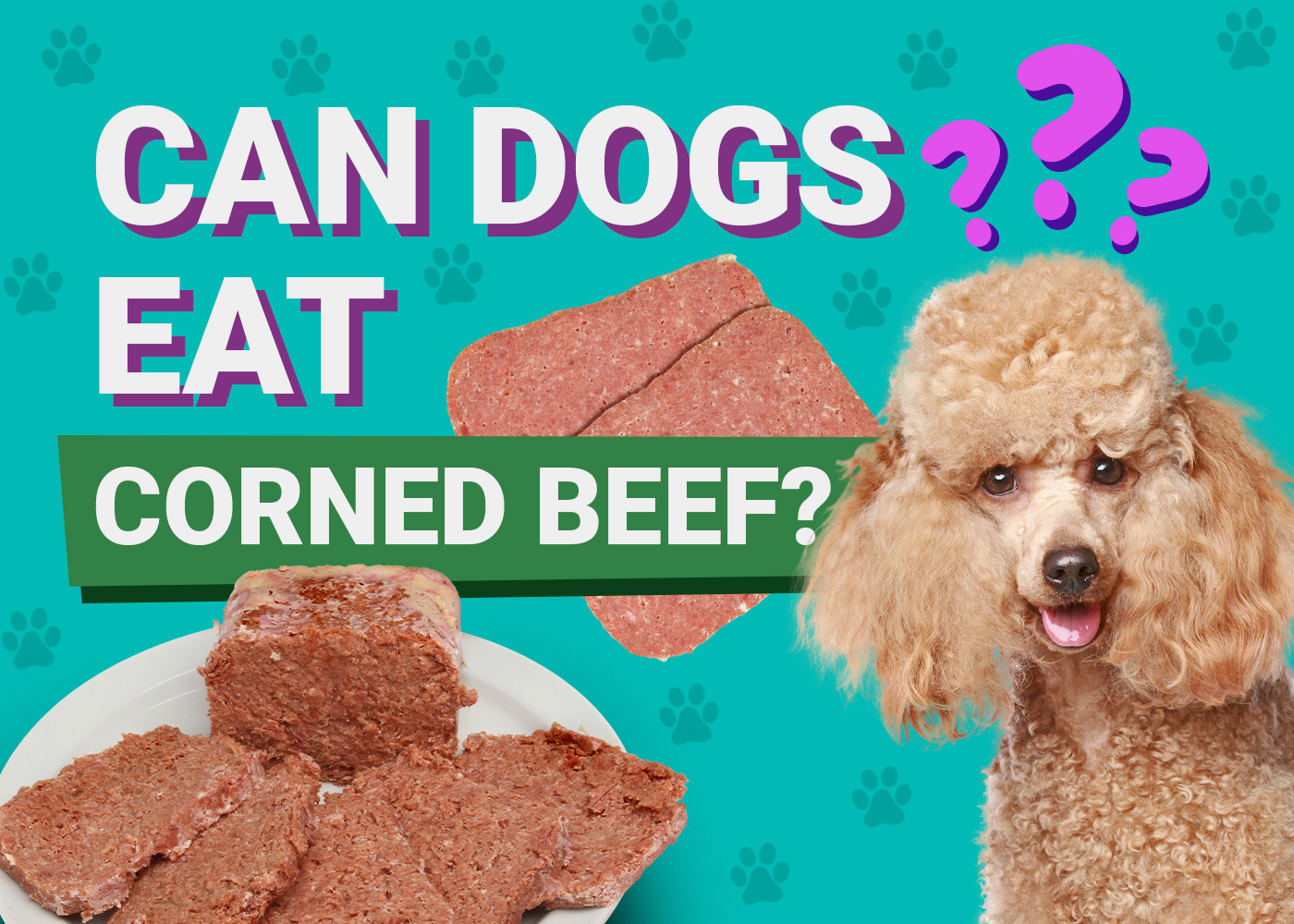 Corned Beef and Dogs: Why This Salty Treat Is a No-Go
