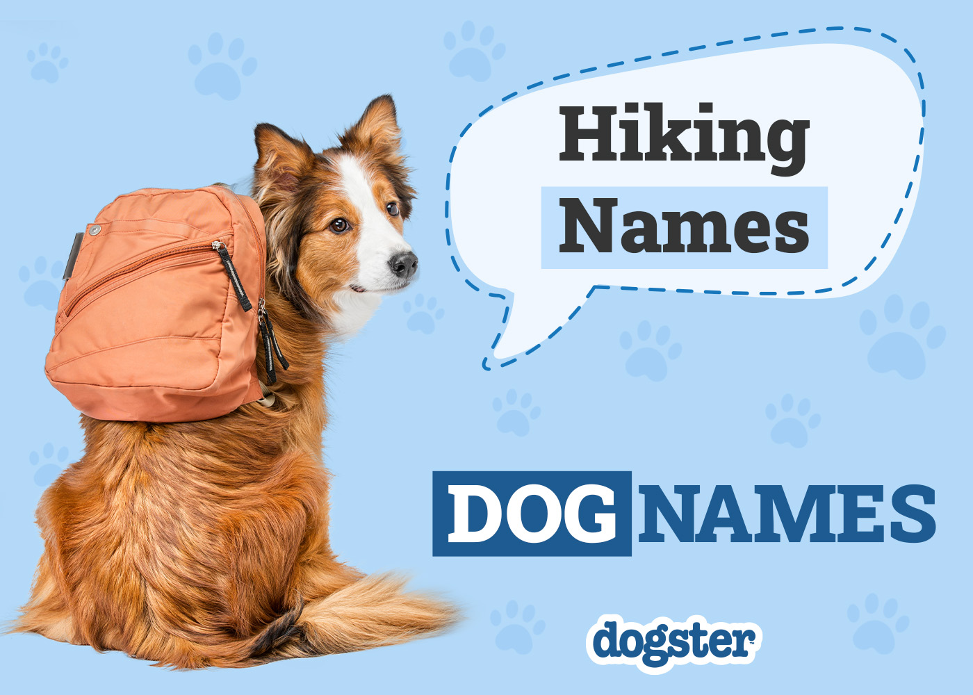 The Ultimate Guide to Hiking Dog Names: Unleash Your Pup's Inner Explorer