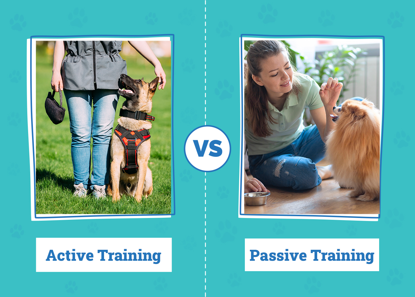 Active vs. Passive Dog Training: A Complete Guide to a Well-Behaved Pup