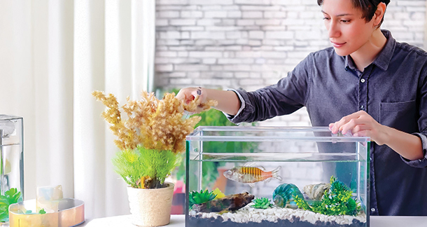 Freshwater Aquarium Fish: A Vet's Guide to Happy, Healthy Fins