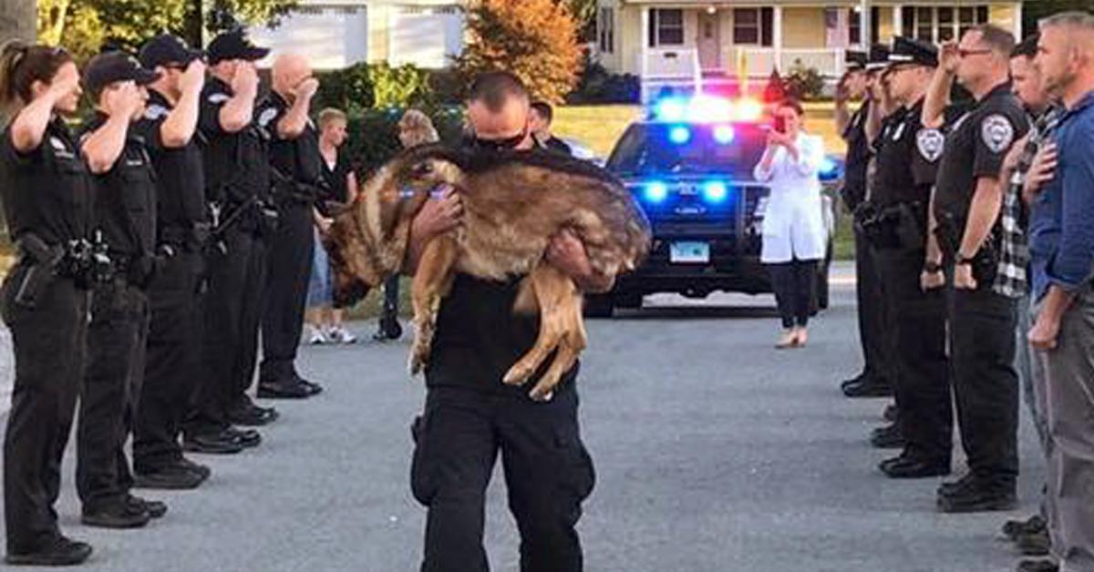 Police Officers Honor Their K-9 Partner With The Most Touching Goodbye