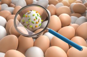 Raw Eggs and Salmonella
